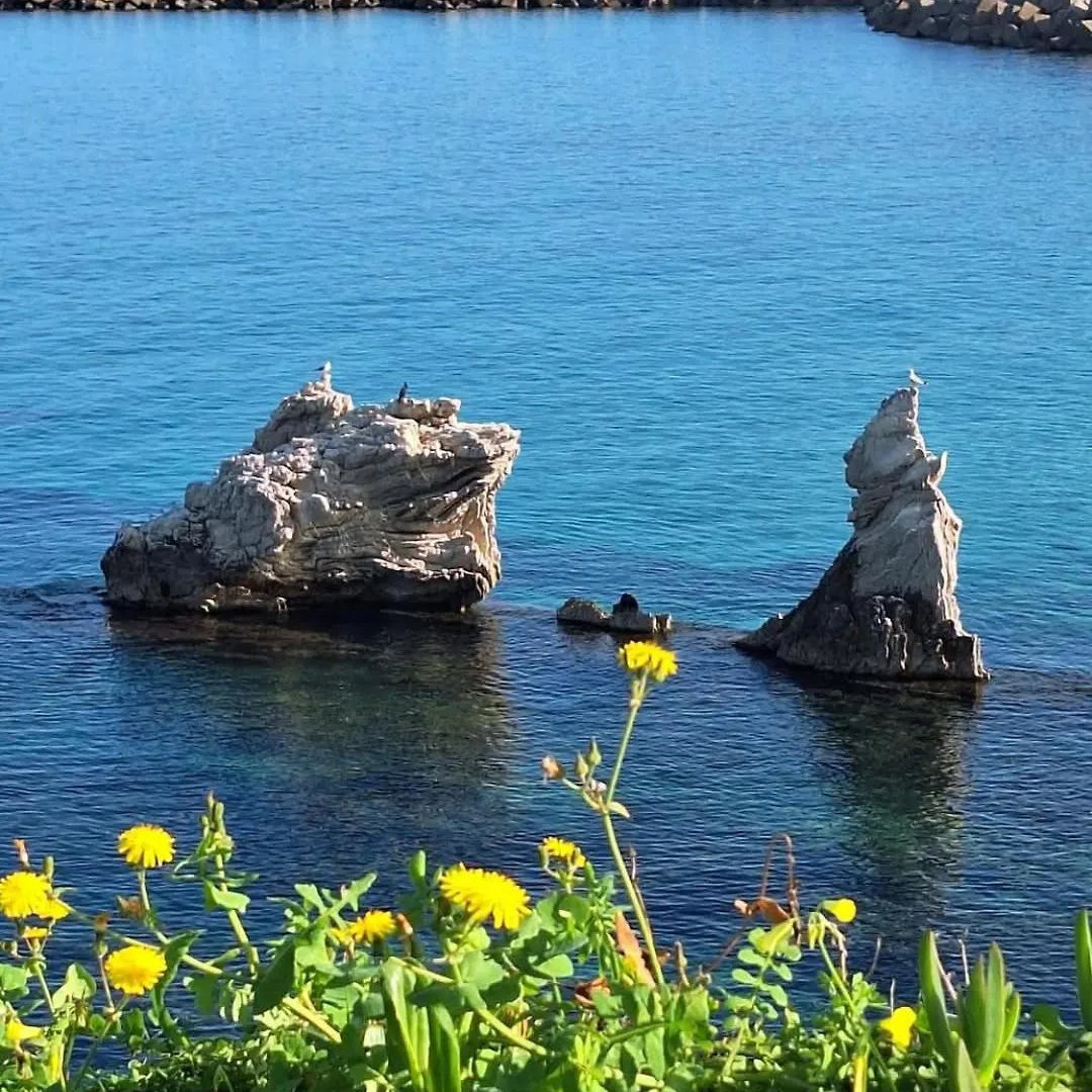 Villa La Chiocciola XX Miglia Terrasini 0*,